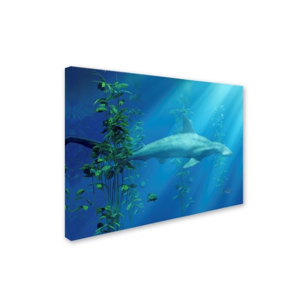 Daniel Eskridge 'Hammer Head Among The Seaweed' Canvas Art,18x24